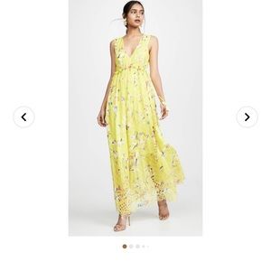 Tanya Taylor Catalina  Dress   Size 18 NWT sold out in Stores plus size